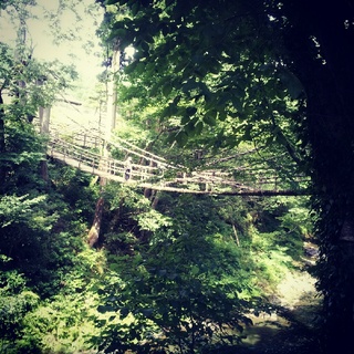 IMG_20120810_160043.jpg