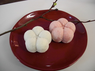 umefukuume.jpg